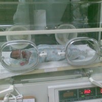 Buang Bayi di Kosannya Sendiri, Aib Ratna Malah Terbongkar